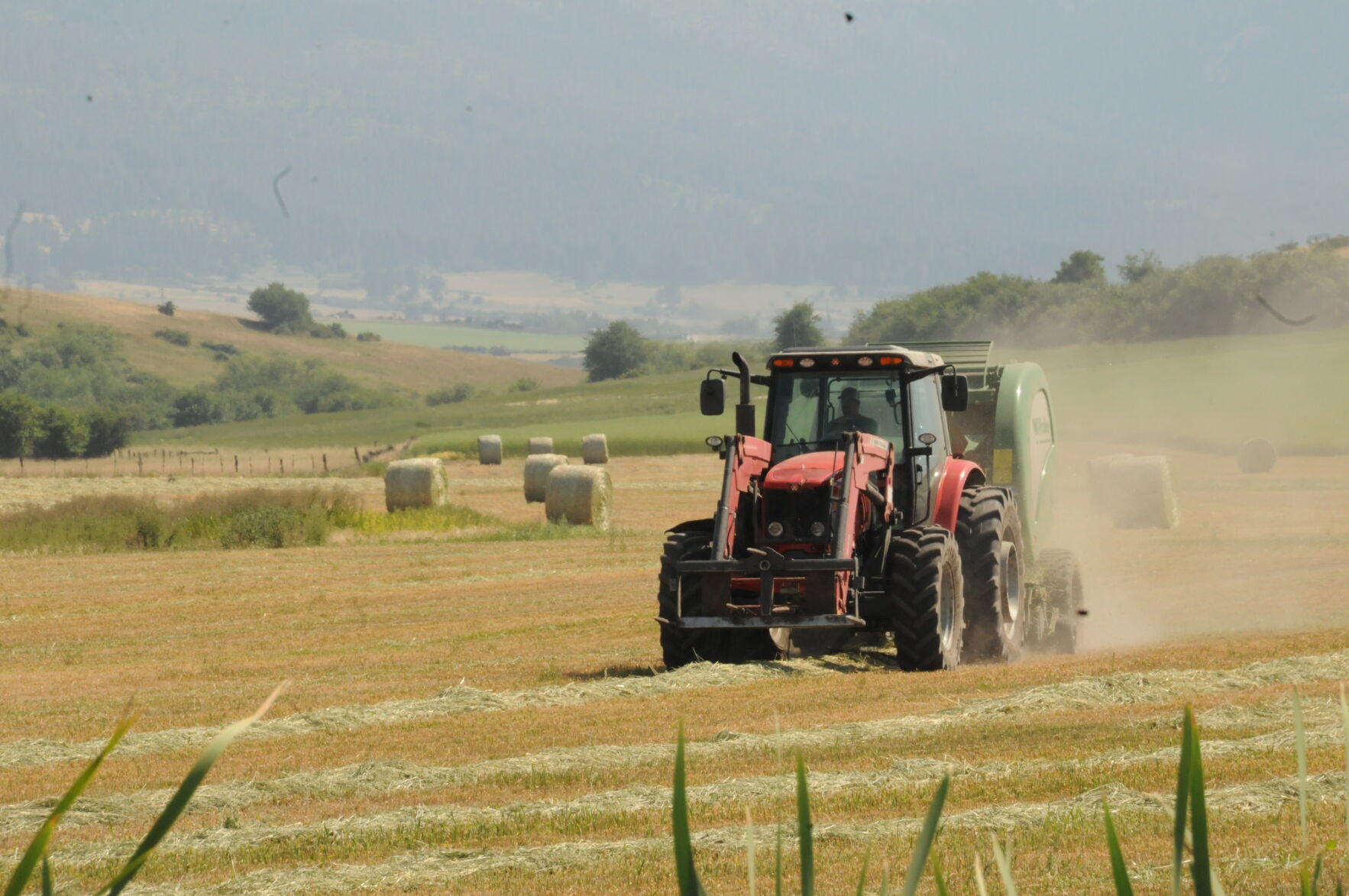 Making Hay While The Sun Shines